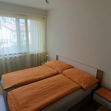 Casa Franceschini Lejlighed Locarno